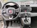 Fiat Panda Panda 1.2 Easy 69cv Beige - thumbnail 7