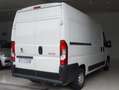 Peugeot Boxer Passo Medio Tetto Alto motore in rodaggio Wit - thumbnail 8