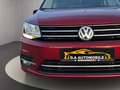 Volkswagen Caddy PKW Generation Four°Klima°Sitzheizung°Eur6 Rot - thumbnail 3