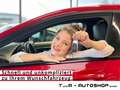Volkswagen Polo 1,6 TDI Cross BMT/Start-Stopp *Tempomat*Dachreling Rojo - thumbnail 26