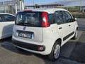 Fiat New Panda twin air natural power - thumbnail 5