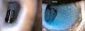 BMW 320 3er+Touring+Diesel+320d+Touring+Aut.+M+Sport Weiß - thumbnail 6