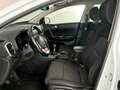 Kia Sportage 1.6 GDi Energy Adas Pack Plus Bianco - thumbnail 9
