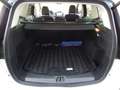 Ford Kuga Vignale Autom. ~Leder~Xenon~Panoramadach~ Weiß - thumbnail 15