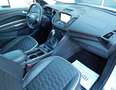 Ford Kuga Vignale Autom. ~Leder~Xenon~Panoramadach~ Weiß - thumbnail 13