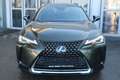 Lexus UX 250h Style Edition Grün - thumbnail 8
