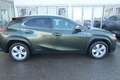 Lexus UX 250h Style Edition Grün - thumbnail 6
