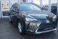 Lexus UX 250h Style Edition Grün - thumbnail 7