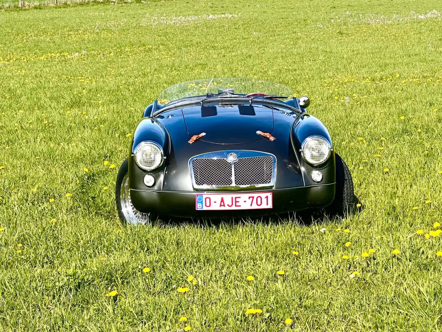 MG MGA Restomod MGA Speedster Unique. Grau - 1