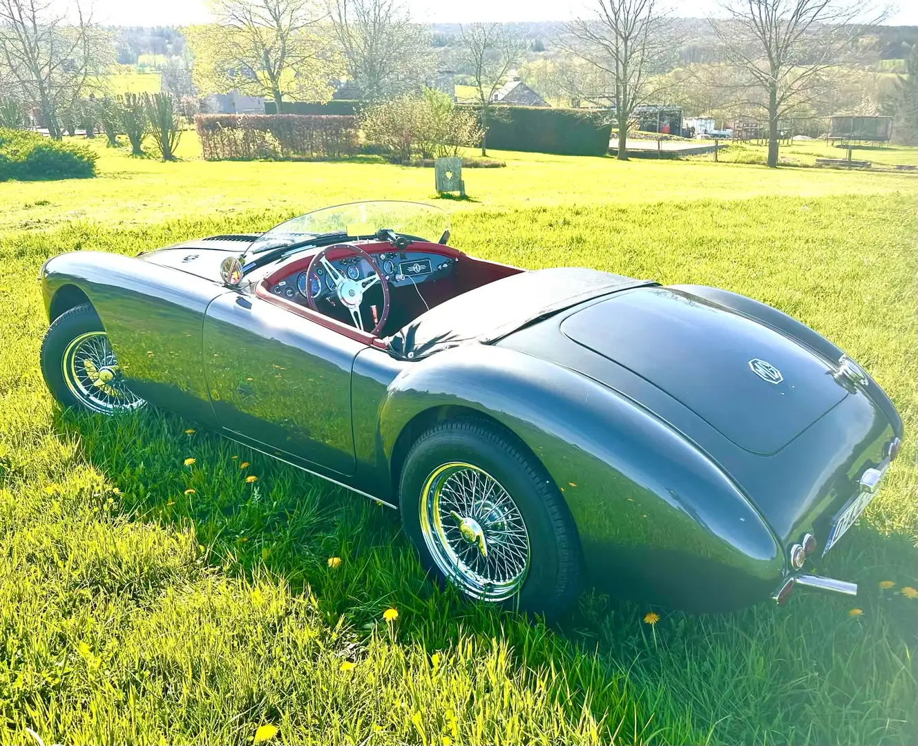MG MGA Restomod MGA Speedster Unique. Grau - 2