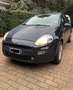 Fiat Punto 5p 1.2 Street (easy) - thumbnail 1