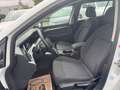 Volkswagen Golf VIII Variant Life Weiß - thumbnail 12