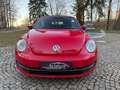 Volkswagen Beetle Cabriolet Design Klima Navi Tempomat PDC Rot - thumbnail 4
