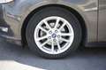 Ford Focus 1.5 TDCi 120 CV Start&Stop Powershift SW Business Grigio - thumbnail 5