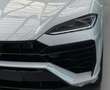 Lamborghini Urus SE 4.0 PHEV Hybrid/Ad Personam/Carbon/23" Grau - thumbnail 1