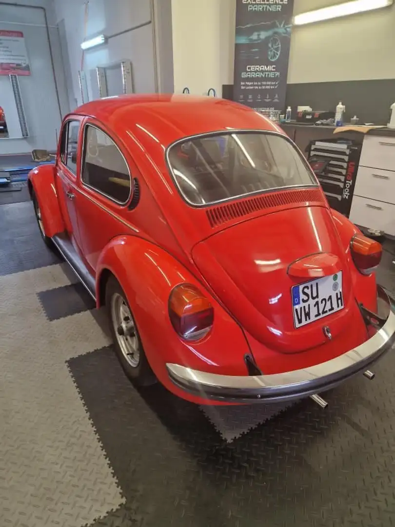 Volkswagen Käfer Rot - 2