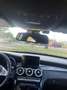 Mercedes-Benz C 220 C 220 (BlueTEC) d 7G-TRONIC Exclusive - thumbnail 13