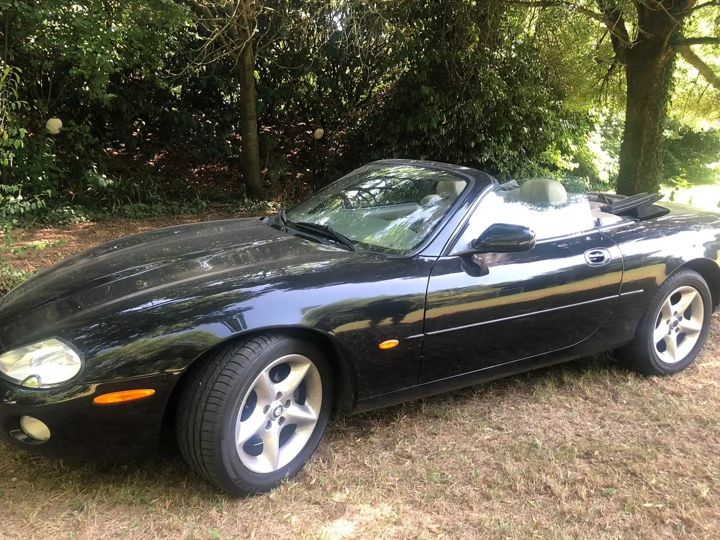 Jaguar XK8 XK8 Convertible 4.0 Negro - 2