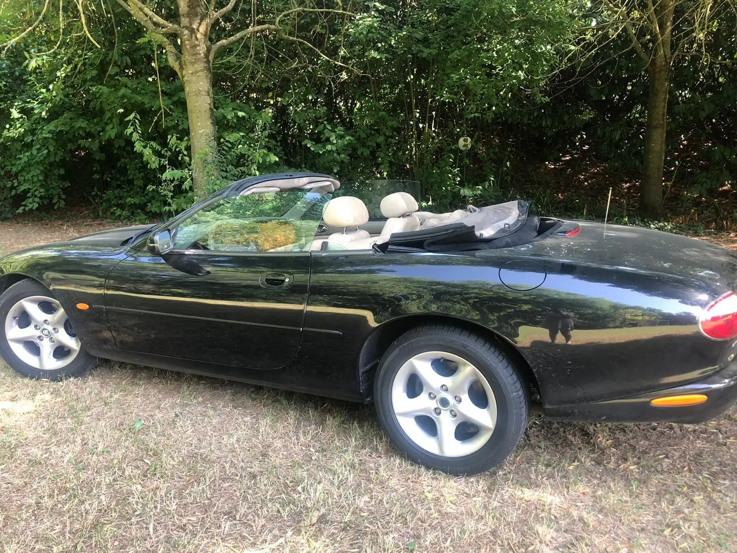 Jaguar XK8 XK8 Convertible 4.0 Negro - 1