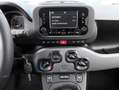 Fiat Panda 1.2 easypower City Life Gpl PREZZO REALE!! Blanc - thumbnail 10