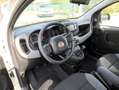 Fiat Panda 1.2 easypower City Life Gpl PREZZO REALE!! Blanc - thumbnail 6