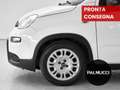 Fiat Panda 1.0 FireFly S&S Hybrid - thumbnail 3
