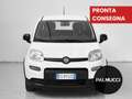 Fiat Panda 1.0 FireFly S&S Hybrid - thumbnail 4