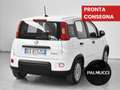 Fiat Panda 1.0 FireFly S&S Hybrid - thumbnail 6