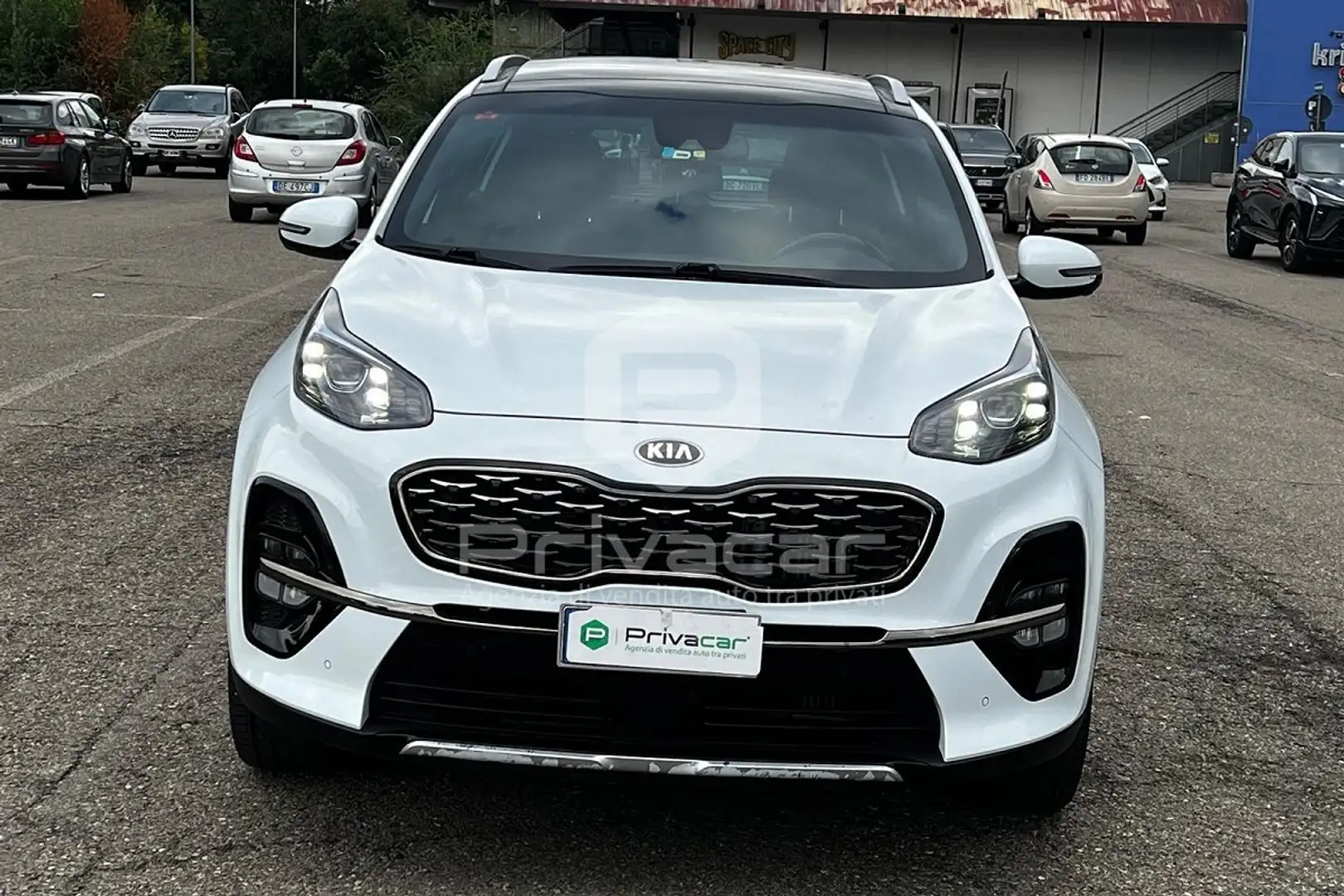 Kia Sportage Sportage 1.6 CRDI 136 CV DCT7 2WD GT Line Bianco - 2