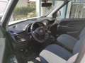 Fiat CARGO MAXI LH1 EASY 1.3 Mjet 95cv Bianco - thumbnail 5