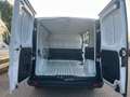 Renault Trafic Access L1H1 2,8t dCi 120, MwSt., Pickerl NEU 10/26 Weiß - thumbnail 21