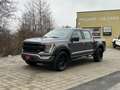 Ford F 150 F-150 LARIAT SuperCrew ShortBed 5,0 L V8 AT 4x4... Gris - thumbnail 45