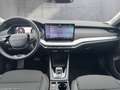 Skoda Octavia Selection TDI DSG Schwarz - thumbnail 13