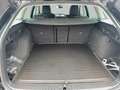 Skoda Octavia Selection TDI DSG Schwarz - thumbnail 21