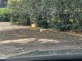 BMW 235 M235i Gran Coupé XDrive, Pano, H/K Grijs - thumbnail 14