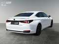Lexus ES 300 h F Sport *360*HUD*MARK&LEVINSON*MEMORY* Weiß - thumbnail 6