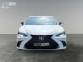 Lexus ES 300 h F Sport *360*HUD*MARK&LEVINSON*MEMORY* Weiß - thumbnail 9