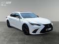 Lexus ES 300 h F Sport *360*HUD*MARK&LEVINSON*MEMORY* Weiß - thumbnail 8