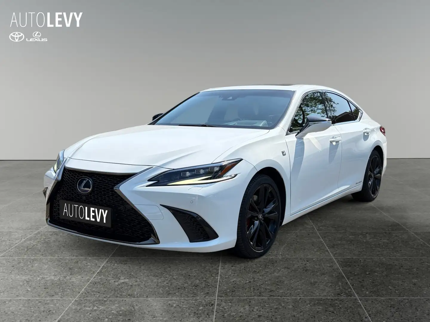 Lexus ES 300 h F Sport *360*HUD*MARK&LEVINSON*MEMORY* Weiß - 2