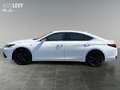 Lexus ES 300 h F Sport *360*HUD*MARK&LEVINSON*MEMORY* Weiß - thumbnail 3