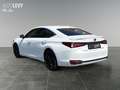 Lexus ES 300 h F Sport *360*HUD*MARK&LEVINSON*MEMORY* Weiß - thumbnail 4