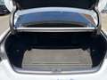 Lexus ES 300 h F Sport *360*HUD*MARK&LEVINSON*MEMORY* Weiß - thumbnail 17