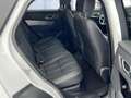 Land Rover Range Rover Velar P250 R-Dynamic SE Weiß - thumbnail 19