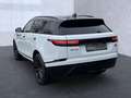 Land Rover Range Rover Velar P250 R-Dynamic SE Weiß - thumbnail 3