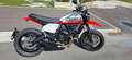 Ducati Scrambler 800 Urban Motard Bianco - thumbnail 5