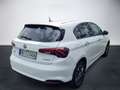Fiat Tipo 5-Türer 1.5 GSE Hybrid 96kW (130PS) DCT Weiß - thumbnail 3