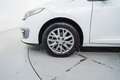 Renault Megane 1.2 TCE Energy GT Style S&S Blanco - thumbnail 11