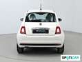 Fiat 500 Cult 1.0 Hybrid 51KW (70 CV) Blanco - thumbnail 6
