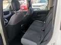 Fiat Panda Panda 1.2 Lounge 69cv Bianco - thumbnail 14