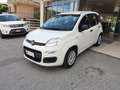 Fiat Panda Panda 1.2 Lounge 69cv Bianco - thumbnail 2
